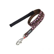 Laisse pour Chien Red Dingo Marron Points (1,5 x 120 cm)