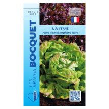 Laitue de printemps Reine de Mai de pleine terre - 4g