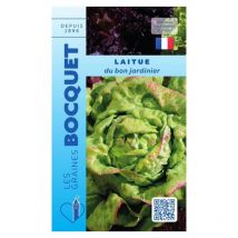 Laitue d'été du bon jardinier - 4g
