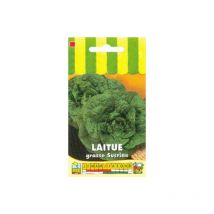 Laitue grasse Sucrine - 3g