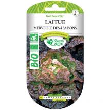 Graines laitue merveille des 4 saisons bio Les Doigts Verts