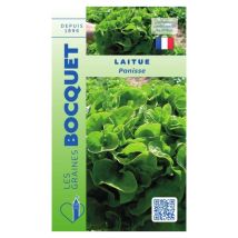 Laitue Panisse – Graines de potager – 2g – Période de plantation / semis – GRAINES BOCQUET