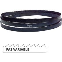 Lame De Scie À Ruban Métal Pae 2980 X 20 X 0,9 Mm X 6/10 Tpi Pas Variable - Bi-métal M42 - 73070702980 - Hepyc