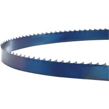 Lame De Scie Pour Scies Verticales Hbs251 Holzstar 5160250