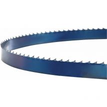 Holzstar - Lame de scie pour scies verticales HBS351-2 5160354