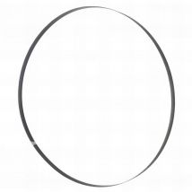 Lame de scie ruban bois PAE 1575 x 10 x 0,36 mm DC6 BSB230B10 pour HBS230HQ - Holzmann