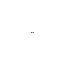 Brill - Lame tondeuse 23072300151