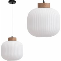 Lampada a sospensione APP1068 tondo 1-PUNTI luce E27 21X21X18-108CM regolabile