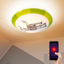Lampada da soffitto Motivo per la cameretta dei bambini Zebra Alexa Google App in un set che include lampadine led Smart Home rgb