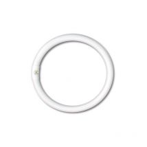 Neon Circolare 'Trifosfori' L.Fredda W32 - Mm 300 - 6400K