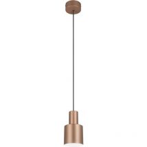 Lampada Sospesa Agudo Trio Lighting 1xE27 Coffee