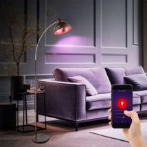 Etc-shop - Lampadaire couleur rouille Lampe de salon rétro debout or Lampadaire lampe à arc rouille or, cct changement de couleur dimmable, Smart rgb