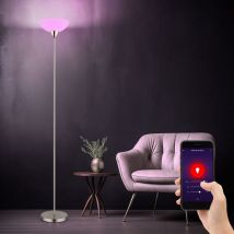 Lampadaire plafonnier nickel mat abat-jour en verre lampadaire opale lampe de salon, métal, contrôle par application cct dimmable, Smart rgb led 8,5W