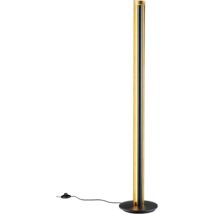 Lampadaire LED – 15 W – Noir et Or – Variateur – Style Chic et Épuré – 3000 K – 1450 Lumens