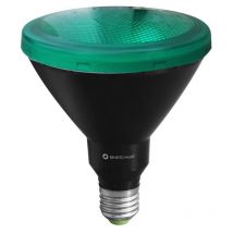 Ampoule led PAR38 15W E27 Réflecteur parabolique Vert