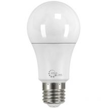 Lampadina led E27 15w A65 Asia Led Luce Fredda 6000k