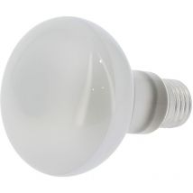 Lampadina per macchina per popcorn professionale