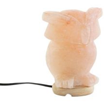 Lámpara de mesa Dkd Home Decor rosa sal acacia 15 w 220 v 14 x 14 x 18 cm