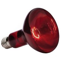 Poulailler Direct - gaun lampara infrarroja ir1 150w 230v , Lámpara infrarroja R123RB rubinowa de 150 w. El calentador infrarrojos es el mejor equipo