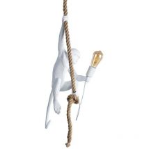 Alpinaluz - Lámpara mono colgante de resina 'max'