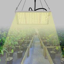 Lampe de plante à LED à spectre complet 110W, LM301B et tente / chambre à conducteur dimmable