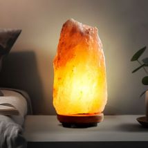 Etc-shop - Lampe de table lampe de table lampe de salon lampe d'appoint lampe de chambre, cristaux de sel en bois couleur naturelle marron foncé, 1x