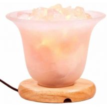 Phoenix Import - Lampe en cristaux de Quartz rose et sel