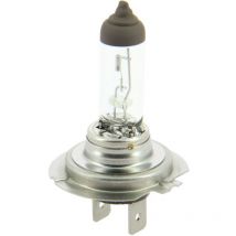 1 Ampulle H7 12v Px26d - 55w