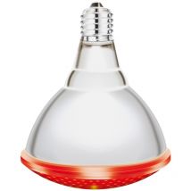 Interheat - Lot de 2 Lampes ir/par vis rouges 100W