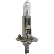 Sodise – Lampe iode H1 24V 70W – Culot P14,5s – Technologie de l'éclairage, Puissance de l'éclairage, Ampoule spécifique
