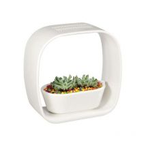 Jardinice - Lampe led ludique avec jardinière intégrée