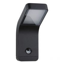 Applique murale extérieure LED Kulma à détection 7,5 W 500 lm 3000K anthracite - Paulmann