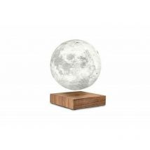 Gingko - Lampe à poser Lune Noyer américain