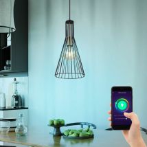 Lampe suspension plafonnier lampe de salle à manger lampe de cuisine, app commande vocale minuterie dimmable cct, laiton antique noir, rgb led 5W