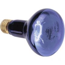 Lampe UV E27 Omnilux R80 230V 112 mm