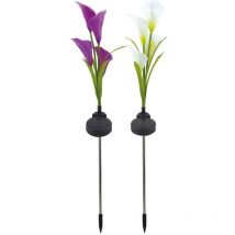 Lampes de patio à led extérieures pour la maison Lampe solaire étanche à fleurs colorées Lanterne de rue de paysage