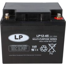 Landport - Bleiakku 12v 45ah Agm Batterie Nsa Lp12-45 T6 Vds