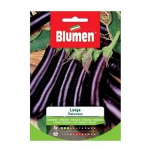 Lange Auberginensamen im Umschlag