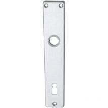 Langschild EUROPA, BB 90, silber eloxiert