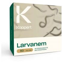 Larvanem Koppert 50 milioni - Heterorhabditis bacteriophora
