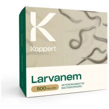 Larvanem Koppert 500 milioni - Heterorhabditis bacteriophora per 1000 m²