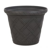 Latte Pot - Black-YLATTEBK