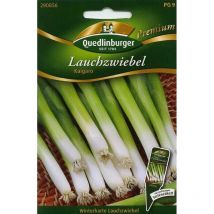 Quedlinburger Lauchzwiebel Kaigaro - Premium Gemüsesamen