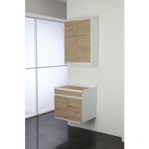Inbagno - Lavabo suspendu avec deux portes Chêne 60x50x h61 cm