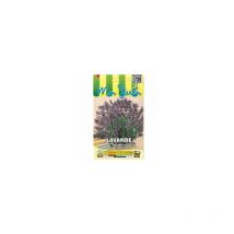 Lavande officinale vivace vraie - 1g