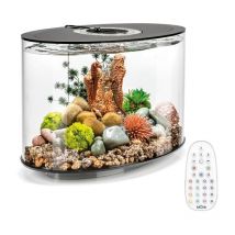 Oase - lazo oasis 15 mcr negro - Loop 15 mcr black