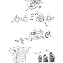 Stiga - LC170-MOTOR (manueller start) original 118550656/0