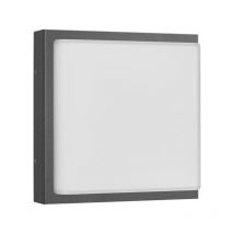 LCD - applique murale avec détecteur de mouvement 1 X E27 13 W graphite en acier inoxydable et verre opale 045SEN
