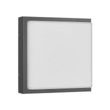 Applique murale 40 W 2 X E27 GRAPHITE en acier inoxydable et verre opale 45 - LCD