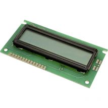 LCD-Display Grün (b x h x t) 44 x 8.8 x 84 mm LCM-S01602DSR/B - Lumex